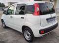 Fiat Panda - thumbnail 11