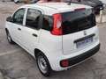 Fiat Panda - thumbnail 12