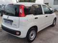 Fiat Panda - thumbnail 13
