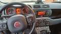 Fiat Panda - thumbnail 3