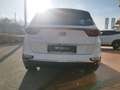 Kia Sportage Sportage 1.6 ECOGPL 2WD Business Class Bianco - thumbnail 8