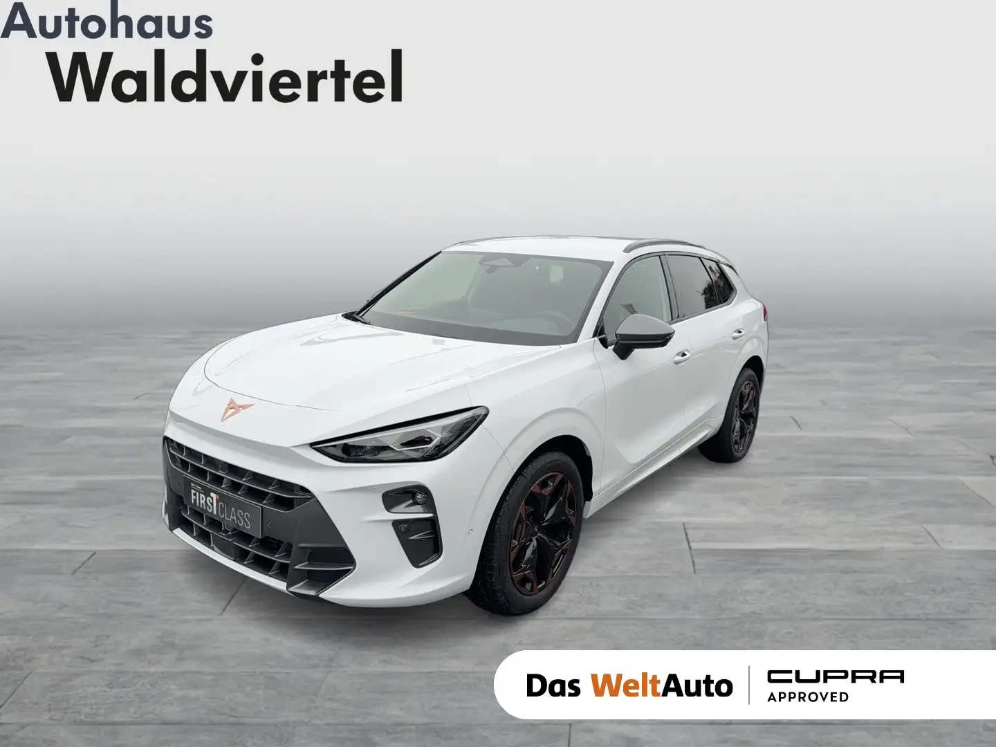 CUPRA Terramar 1.5 e-TSI 150 PS DSG Weiß - 1