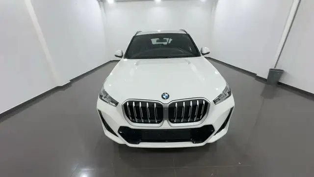 BMW X1 view 9
