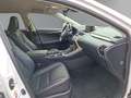 Lexus NX 300h E-Four Navi LED ACC El. Heckklappe Mehrzonenklima Weiß - thumbnail 12