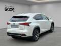 Lexus NX 300h E-Four Navi LED ACC El. Heckklappe Mehrzonenklima Weiß - thumbnail 5