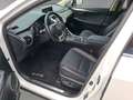 Lexus NX 300h E-Four Navi LED ACC El. Heckklappe Mehrzonenklima Weiß - thumbnail 10