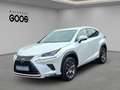 Lexus NX 300h E-Four Navi LED ACC El. Heckklappe Mehrzonenklima Weiß - thumbnail 1