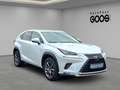 Lexus NX 300h E-Four Navi LED ACC El. Heckklappe Mehrzonenklima Weiß - thumbnail 7