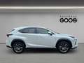 Lexus NX 300h E-Four Navi LED ACC El. Heckklappe Mehrzonenklima Weiß - thumbnail 6