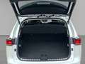 Lexus NX 300h E-Four Navi LED ACC El. Heckklappe Mehrzonenklima Weiß - thumbnail 9