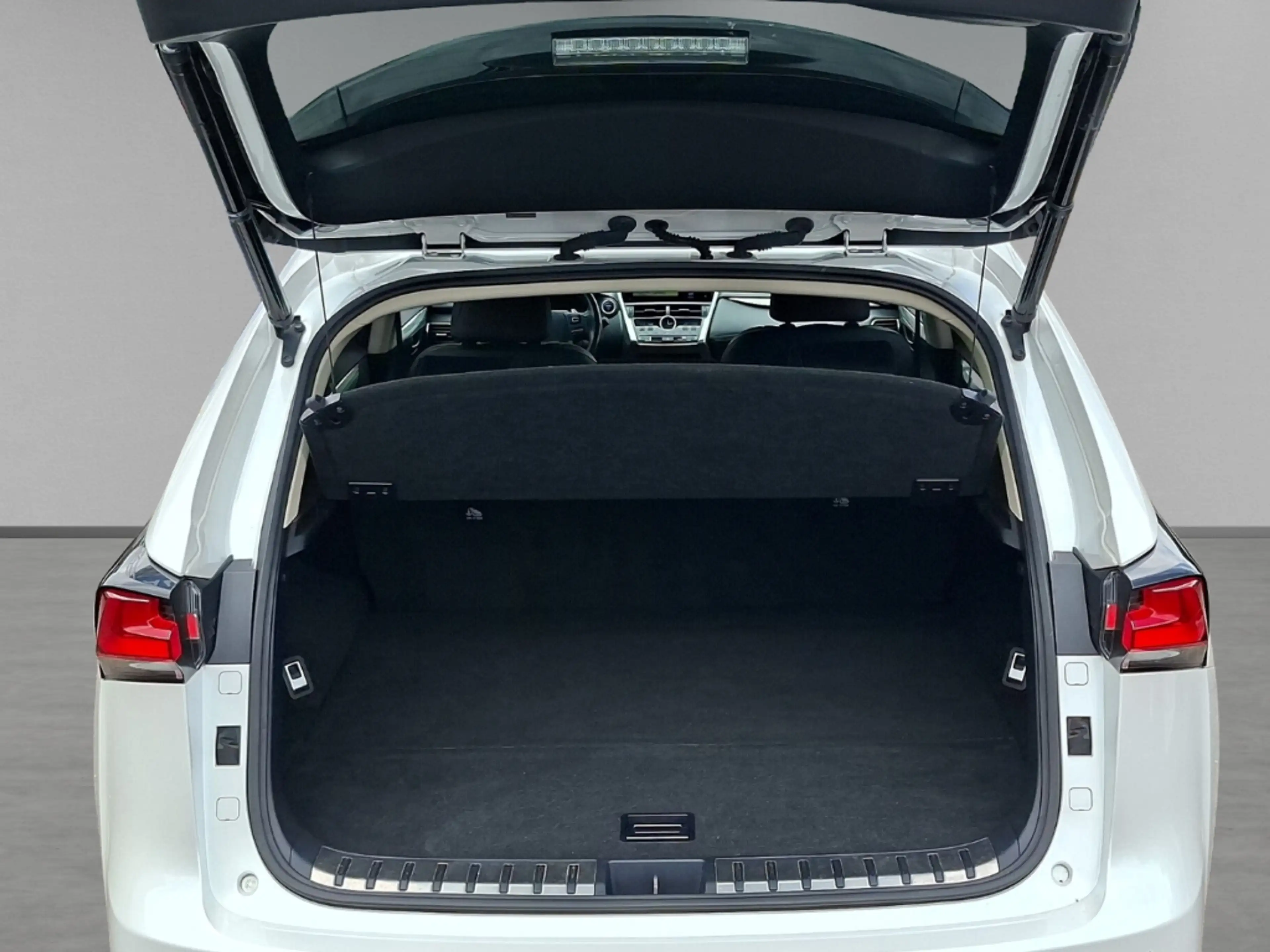 Lexus NX 300h E-Four Navi LED ACC El. Heckklappe Mehrzonenklima — photo 9