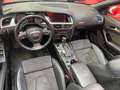 Audi S5 Cabrio 3.0 TFSI S-Tronic Rojo - thumbnail 19