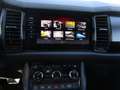 Skoda Kodiaq 2.0 TDI Sportline 4x4 Grau - thumbnail 14