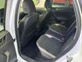 Volkswagen Polo Highline 1.5 TSI DSG LED+AHK+KAMERA+ACC+NAVI Blanc - thumbnail 15