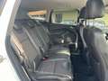 Ford Kuga Kuga 2.0 tdci Titanium 4wd s Bianco - thumbnail 13