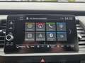 Honda Jazz 1,5 i-MMD Hybrid Crosstar Advance Aut. Rot - thumbnail 14