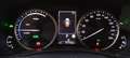 Lexus NX 300h 4WD PREMIUM Bianco - thumbnail 7