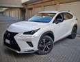 Lexus NX 300h 4WD PREMIUM Bianco - thumbnail 3