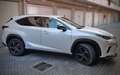Lexus NX 300h 4WD PREMIUM Bianco - thumbnail 4