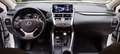 Lexus NX 300h 4WD PREMIUM Bianco - thumbnail 8