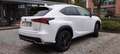 Lexus NX 300h 4WD PREMIUM Bianco - thumbnail 2