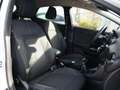 Ford Puma Titanium 1.0i Ecoboost Hybrid 125pk PDC ACHTER | 1 Wit - thumbnail 8