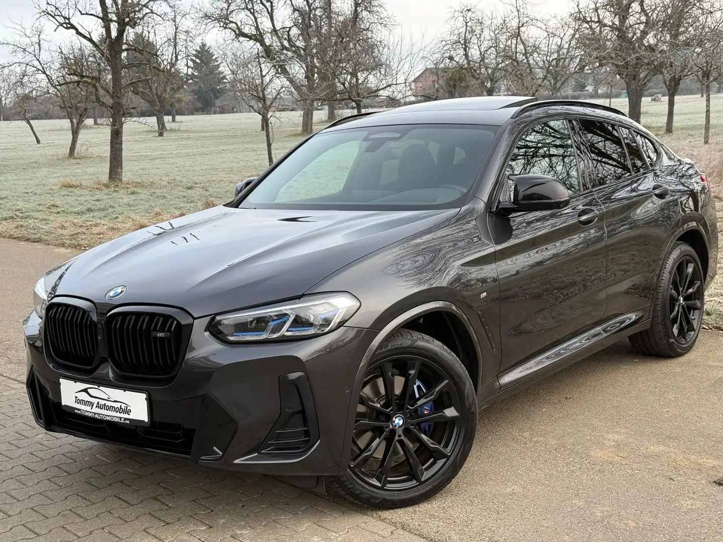 BMW X4 M40 d M Sitze Panorama Carbon ACC AHK 20" Gris - 1