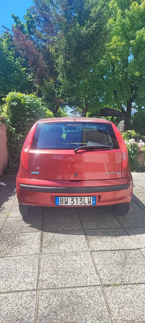 Fiat Punto 5p 1.2 EL - 2