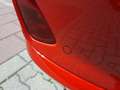 Ford Fiesta 1.0 EcoBoost  ST-Line LED Navi DAB SHZ Kırmızı - thumbnail 13