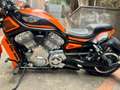 Harley-Davidson V-Rod Harley special da espozizione modifiche a libretto Pomarańczowy - thumbnail 6