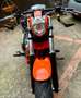Harley-Davidson V-Rod Harley special da espozizione modifiche a libretto Oranje - thumbnail 9
