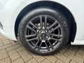 Ford Tourneo Courier 1.0 Titanium Camera|Stoelverwarming|Lichtmetalenve Wit - thumbnail 22