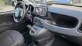Fiat Panda 1.0 firefly hybrid Cross s&s 70cv - thumbnail 14