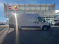 Fiat Ducato LH2 3.5 140ch S\u0026S Blanc - thumbnail 11