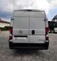 Opel Movano 35 2.2 L3H2 140CV BLUE HDI Bianco - thumbnail 11