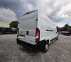 Opel Movano 35 2.2 L3H2 140CV BLUE HDI Bianco - thumbnail 10