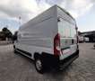 Opel Movano 35 2.2 L3H2 140CV BLUE HDI Bianco - thumbnail 12