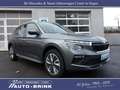 Skoda Kamiq Selection "Drive" DSG/RFK+PTS/ACC/LED/Navi Grijs - thumbnail 1