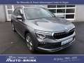 Skoda Kamiq Selection "Drive" DSG/RFK+PTS/ACC/LED/Navi Grijs - thumbnail 5