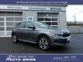 Skoda Kamiq Selection "Drive" DSG/RFK+PTS/ACC/LED/Navi Grijs - thumbnail 8