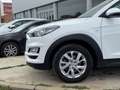 Hyundai TUCSON 1.6CRDI 48V SLE Sky 4x2 Blanco - thumbnail 11