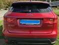 Jaguar F-Pace F-Pace R-Sport FULL OPTION Rood - thumbnail 5