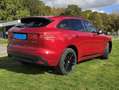 Jaguar F-Pace F-Pace R-Sport FULL OPTION Rood - thumbnail 3