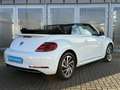 Volkswagen Beetle Cabriolet 1.2 TSI Design NAV, APP, KL-AUT Klima Blanc - thumbnail 4