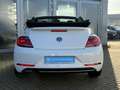 Volkswagen Beetle Cabriolet 1.2 TSI Design NAV, APP, KL-AUT Klima Blanc - thumbnail 5