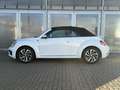 Volkswagen Beetle Cabriolet 1.2 TSI Design NAV, APP, KL-AUT Klima Blanc - thumbnail 6