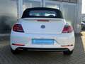 Volkswagen Beetle Cabriolet 1.2 TSI Design NAV, APP, KL-AUT Klima Blanc - thumbnail 10