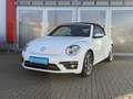 Volkswagen Beetle Cabriolet 1.2 TSI Design NAV, APP, KL-AUT Klima Blanc - thumbnail 8