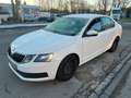 Skoda Octavia 1.6 TDI *limo*2017* Weiß - thumbnail 9