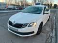 Skoda Octavia 1.6 TDI *limo*2017* Weiß - thumbnail 10